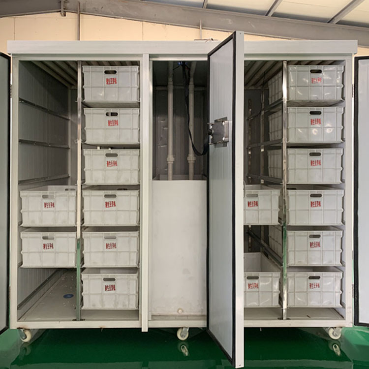 DS-400型豆芽機（日產400斤）